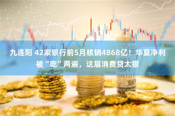 九连阳 42家银行前5月核销4868亿！华夏净利被“吃”两遍，这届消费贷太狠